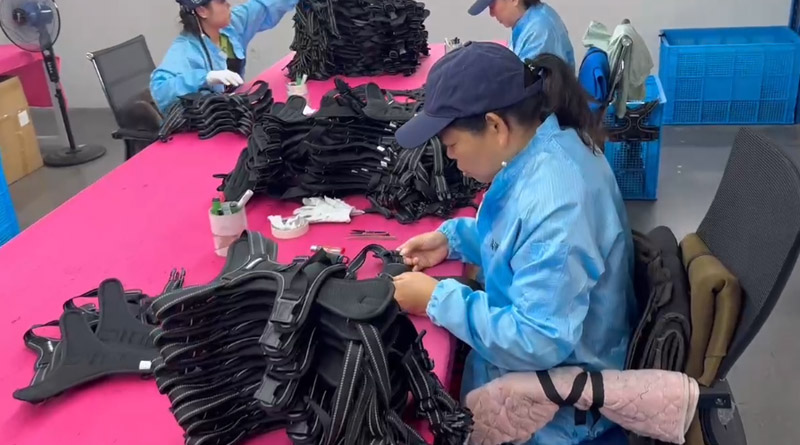 米兰宠物，无处不在